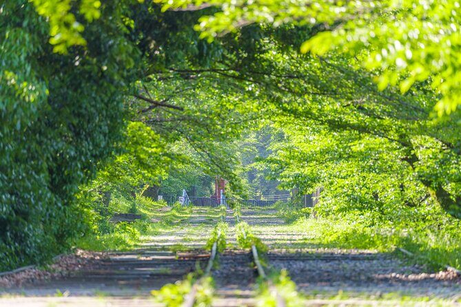 Shimogamo Shrine, Sagano Train and Uzumasa Samurai Theme Park - Final Thoughts: Who Will Enjoy This Tour?