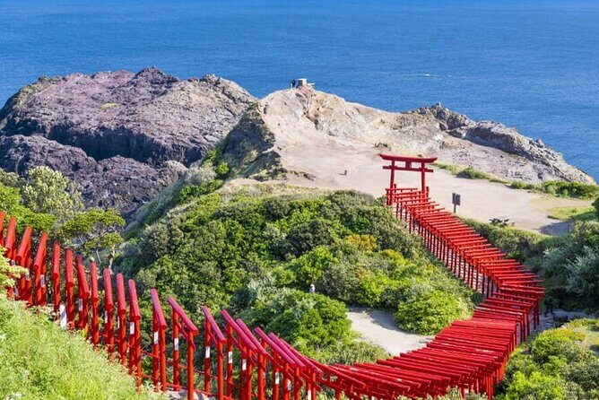 Shimonoseki Bus Tour from Fukuoka Tsunoshima Bridge - A Deep Dive into the Tour Experience