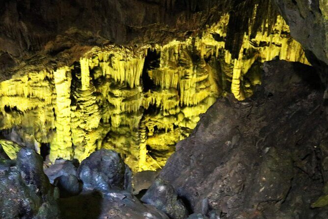 Shimonoseki Bus Tour from Fukuoka Tsunoshima Bridge - The Sum Up: Is This Tour Worth It?