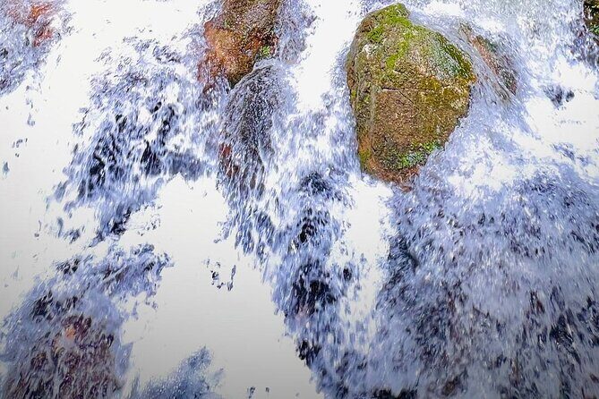 Shimonoseki Bus Tour from Fukuoka Tsunoshima Bridge - FAQ