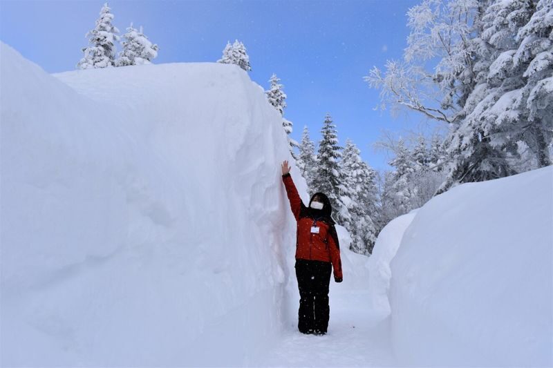Shin-Hotaka Ropeway & Hida Limestone Cave Full-Day Discovery - The mountain ride is the main event