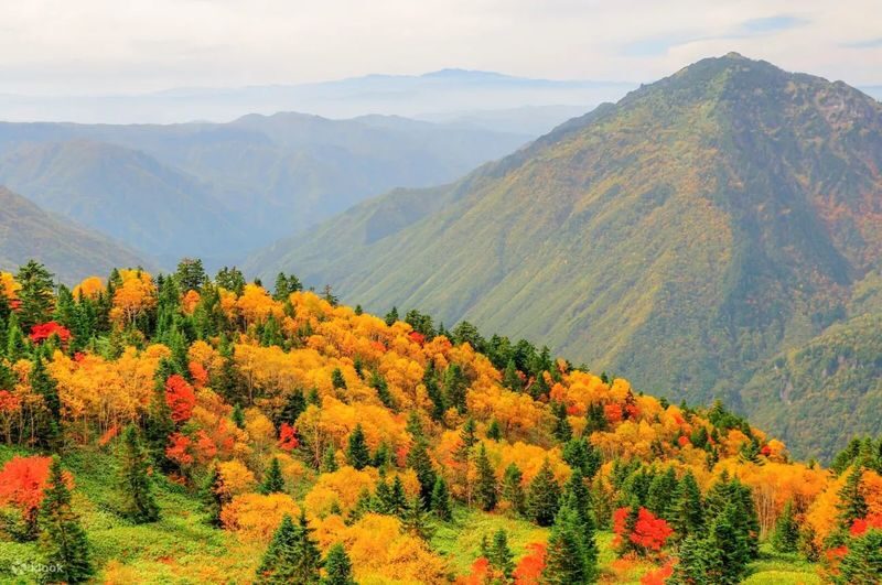 Shin-Hotaka Ropeway & Hida Limestone Cave Full-Day Discovery - The drive is part of the commitment