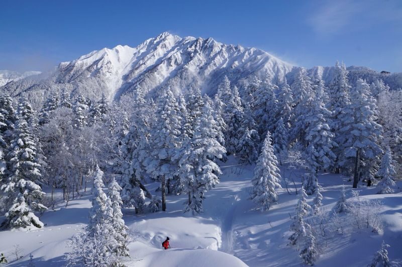 Shin-Hotaka Ropeway & Hida Limestone Cave Full-Day Discovery - Who will enjoy this day most