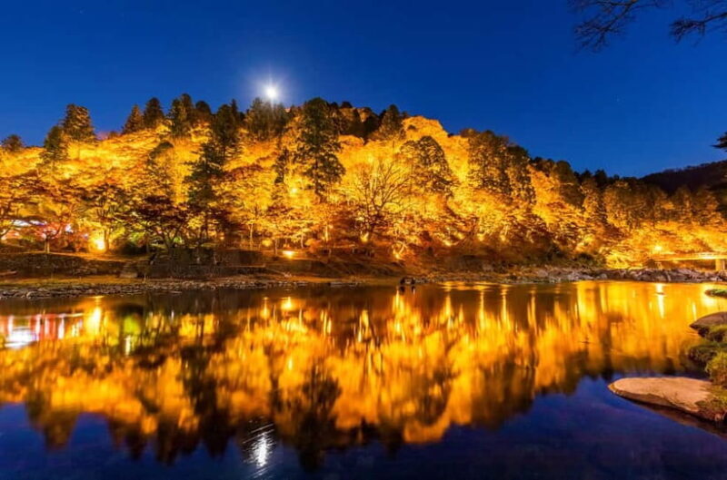 Shin-Toyota: Korankei/Obara Bus Tour with Persimmon Tasting - Key Points