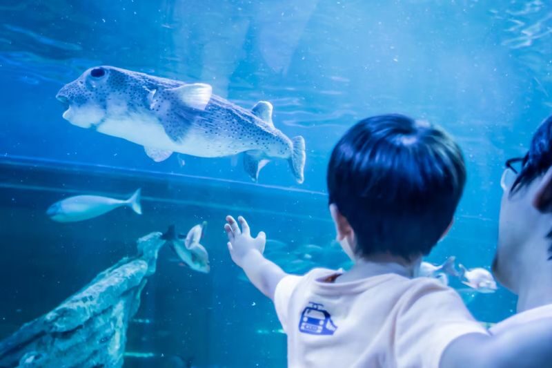 Shinagawa Aquarium Admission Ticket in Tokyo - Meet seals, penguins and other crowd-pleasers