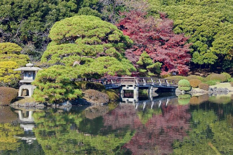 Shinjuku Gyoen National Garden - 2 Hours Walking Tour - A green pause in the middle of Tokyo
