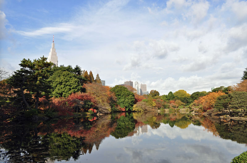 Shinjuku Gyoen Ticket in Tokyo - Shinjuku Gyoen at a glance