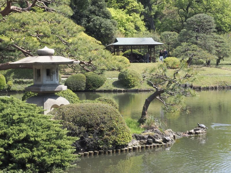 Shinjuku Gyoen Ticket in Tokyo - Historic details and a well-earned café break