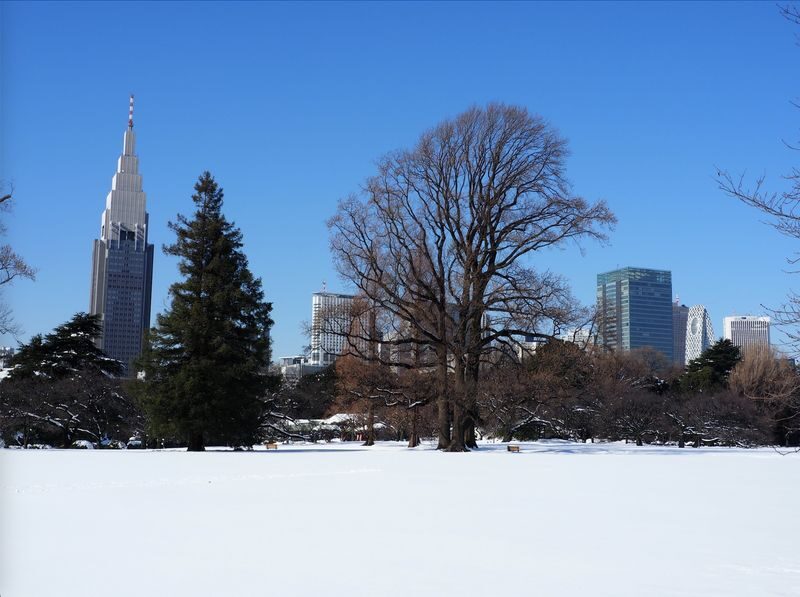 Shinjuku Gyoen Ticket in Tokyo - What the ticket costs, and what it saves