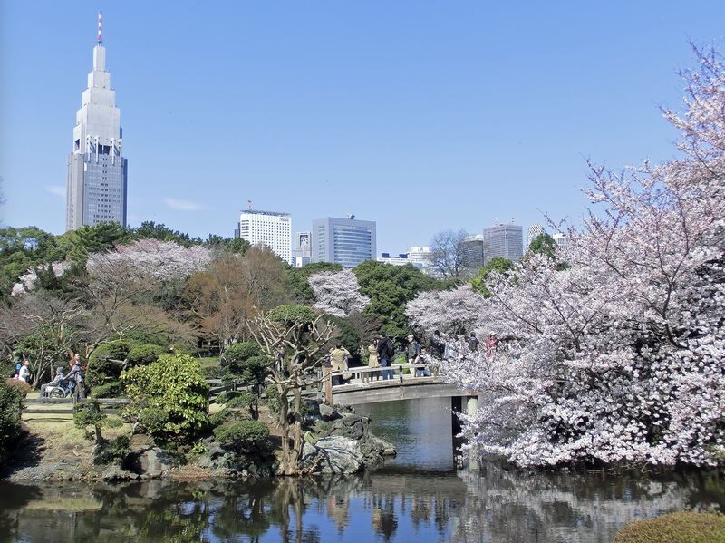 Shinjuku Gyoen Ticket in Tokyo - Getting to the right gate