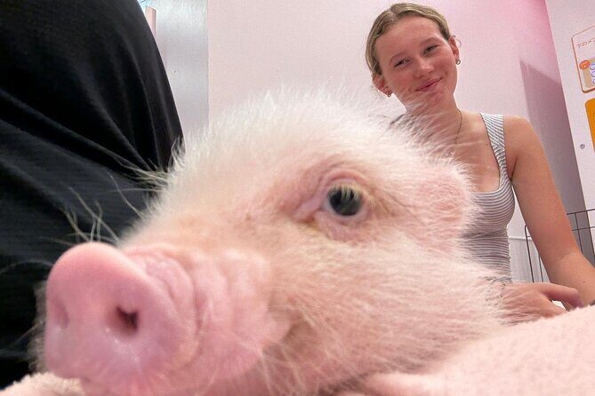 Shinjuku, Harajuku & Shibuya - Final Thoughts