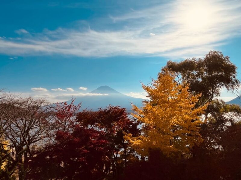 Shinjuku: Mount Fuji Panoramic View and Shopping Day Tour - Exploring Japan’s Iconic Mount Fuji: A Practical Review of the Panoramic View and Shopping Day Tour