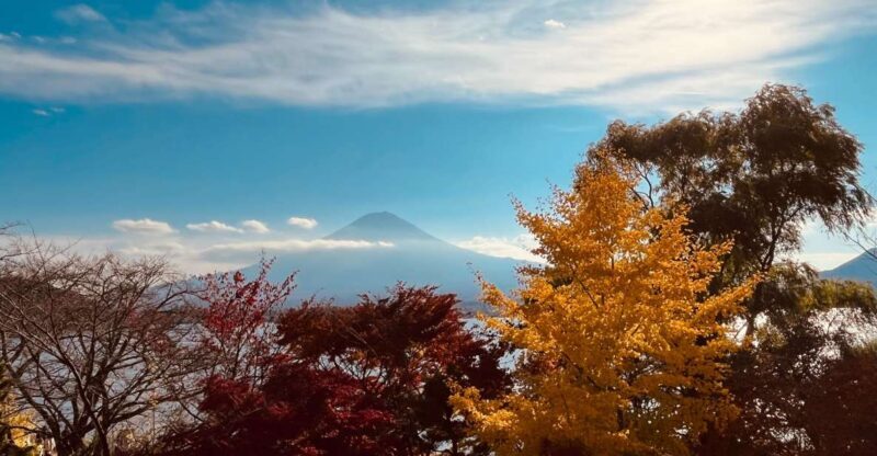 Shinjuku: Mount Fuji Panoramic View and Shopping Day Tour - Authentic Experiences and Practical Tips