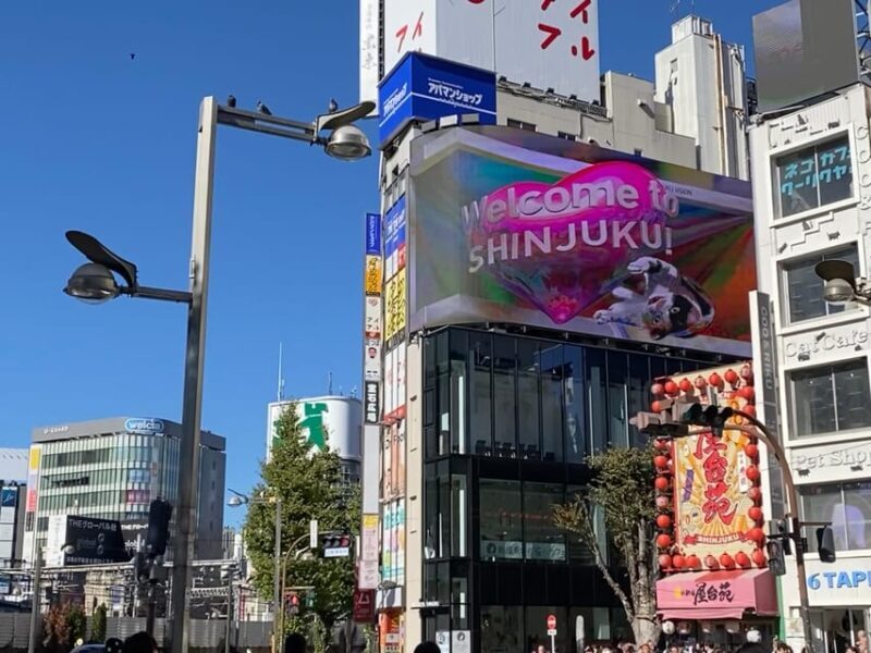 Shinjuku Night: Izakaya & Kabukicho Red Light District - A Deep Dive into Shinjuku After Dark