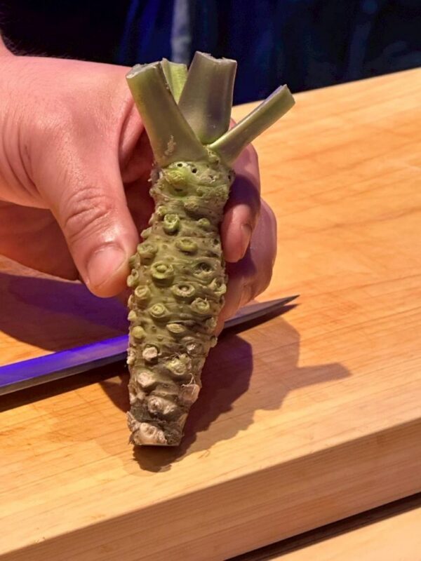 Shinsaibashi: SHIN NIPPON Artisan Sushi Making Course - Practical details before you book
