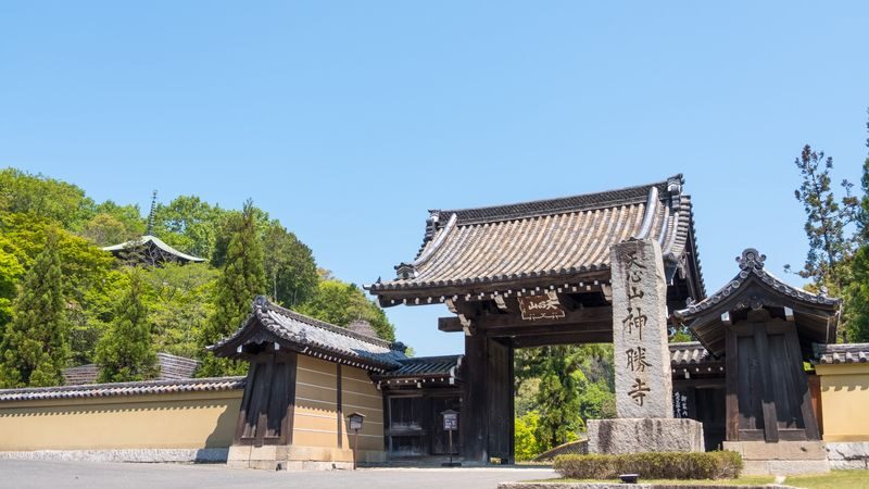 Shinshoji Temple Zen & Garden Museum Admission Ticket - Start with Hakuin’s ink paintings