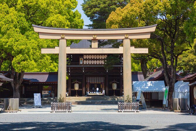 Shinto Shrine Tour: Explore Japanese Culture in Tokyo - What Makes This Tour Stand Out