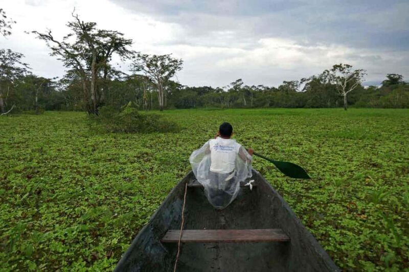 SHIPIBO PROGRAM 2D/1N - An Authentic Amazon Experience in a Short Time