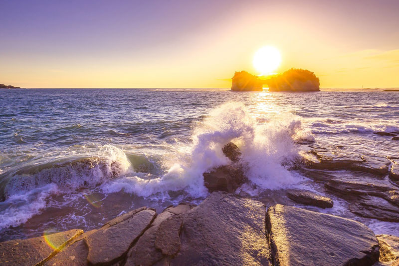 Shirahama Beach & ToreTore Market Full-Day Small Group Tour - Is $63.20 good value?