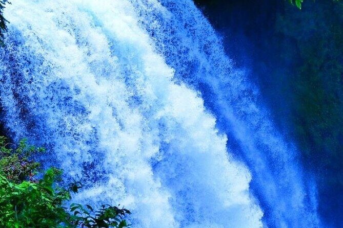 Shiraito Falls, Sengen Taisha, World Heritage Centre Guided Van - Why This Tour Has Such Strong Reviews