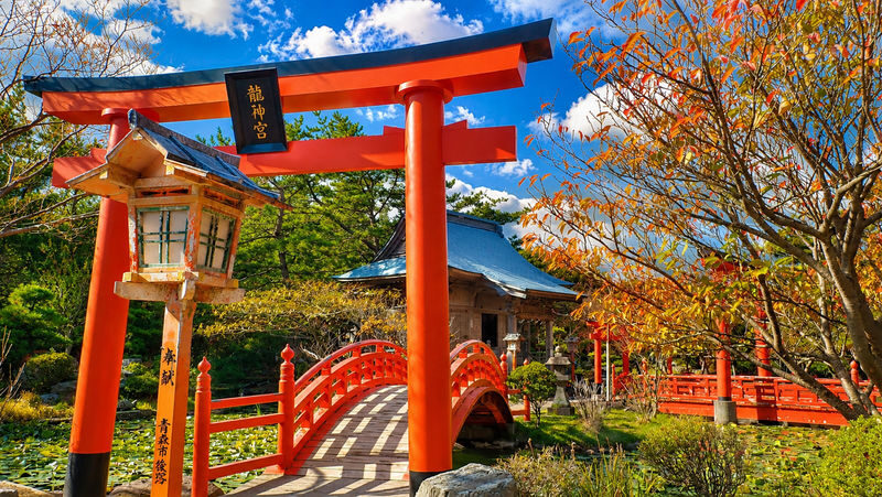 Shirakami Sanchi & Takayama Inari Shrine Full-Day World Heritage Tour - Remote sights are the point