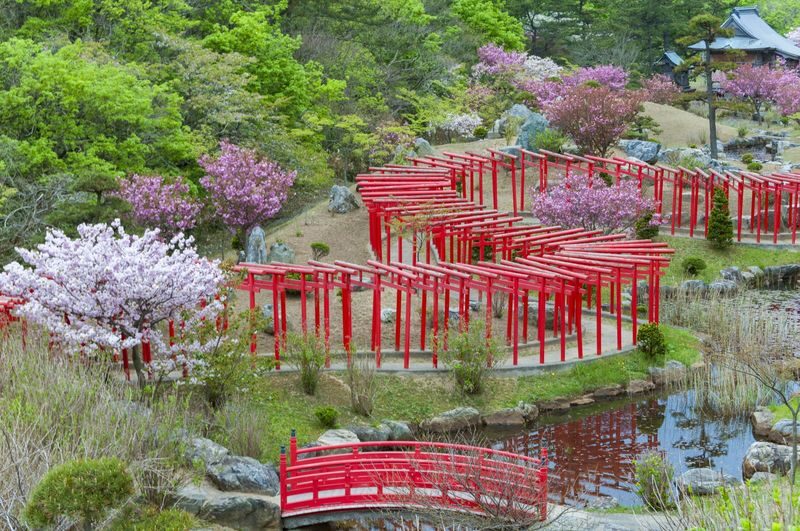 Shirakami Sanchi & Takayama Inari Shrine Full-Day World Heritage Tour - Shirakami Sanchi and the blue pond
