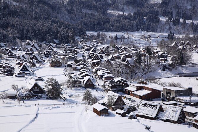 Shirakawa go and Takayama 2 Day Tour from Tokyo - Who Will Love This Tour?
