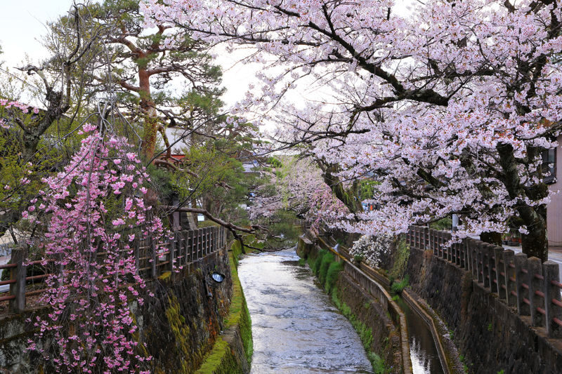 Shirakawa-go Day Trip | Optional Direct Access to Observation Deck + Hida Takayama Old Town | Optional Premium Small Group Tour for up to 9 People, Hotel Pickup and Drop-off | Departure from Nagoya - The drive, group size, and guide style