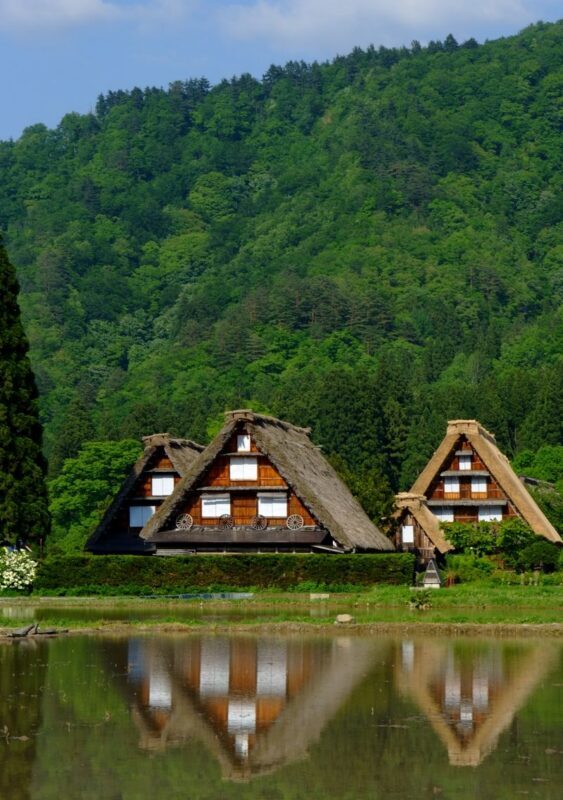 Shirakawa-go Day Trip | Optional Direct Access to Observation Deck + Hida Takayama Old Town | Optional Premium Small Group Tour for up to 9 People, Hotel Pickup and Drop-off | Departure from Nagoya - Who should book this Nagoya day trip?