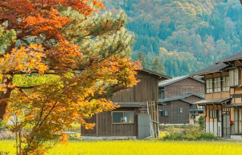 Shirakawa-go Gassho Village & Hida Takayama Day Tour (from Nagoya) - Shirakawa-go’s steep-roofed farmhouses