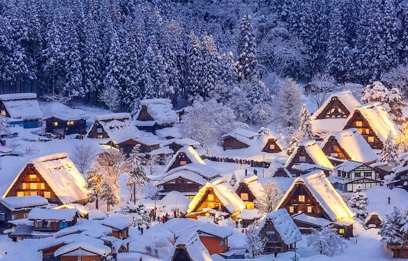 Shirakawa-go Gassho Village & Hida Takayama Day Tour (from Nagoya) - Who will like this day trip