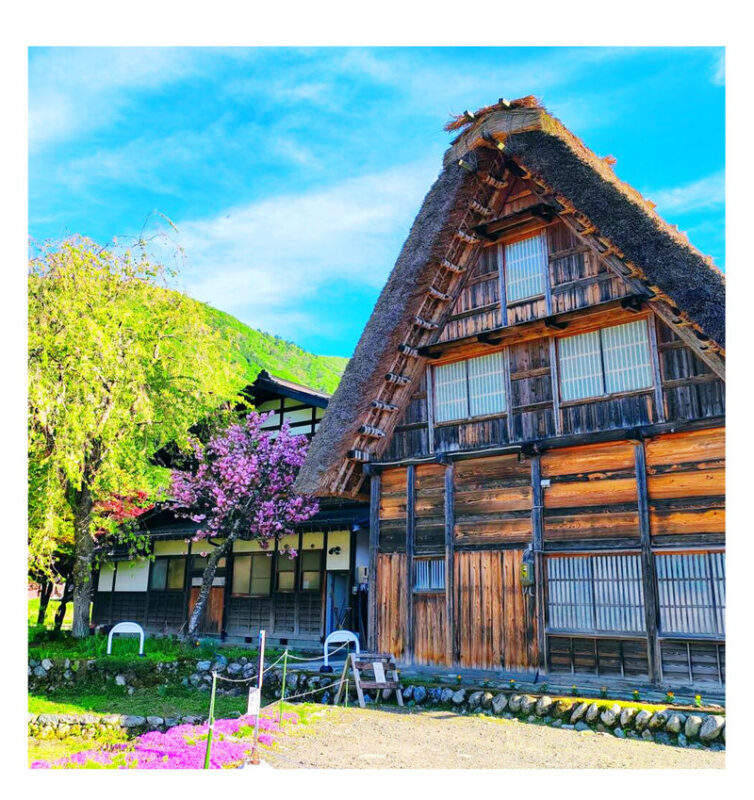 Shirakawa-go Gassho Village & Hida Takayama Day Trip with optional Shirakawa-go Observatory visit (Departure from Nagoya) - Two Gifu highlights on a single day