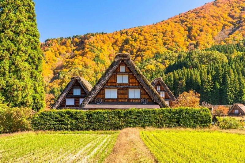 Shirakawa-go Gassho Village & Hida Takayama & Kamikochi Two-Day Tour - The points that matter before you book