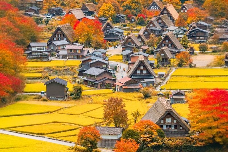 Shirakawa-go Gassho Village & Hida Takayama & Kamikochi Two-Day Tour - A village visit with little time to spare