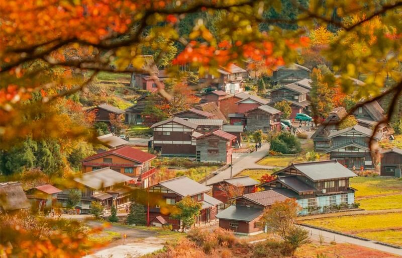 Shirakawa-go Gassho Village & Hida Takayama & Kamikochi Two-Day Tour - Kamikochi: choose a pond walk or a longer trek
