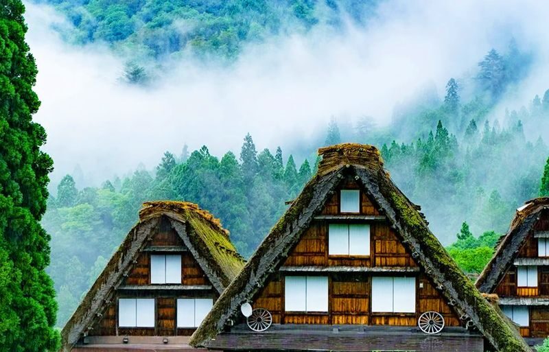 Shirakawa-go Gassho Village & Hida Takayama & Magome-juku & Inuyama Castle Two-Day Tour (Accommodation not included) - Magome and Tsumago: a short taste of the Nakasendo