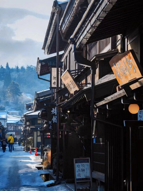Shirakawa-go Gassho Village & Hida Takayama Old Town One-Day Tour (Departing from Nagoya) - Guaranteed Departure for 1 Person - Shirakawa-go’s gassho roofs and village paths