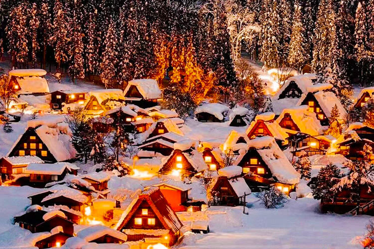 Shirakawa-go Gassho Village & Hida Takayama Old Town One-Day Tour (Departing from Nagoya) - Guaranteed Departure for 1 Person - Is the $49.29 starting price good value?