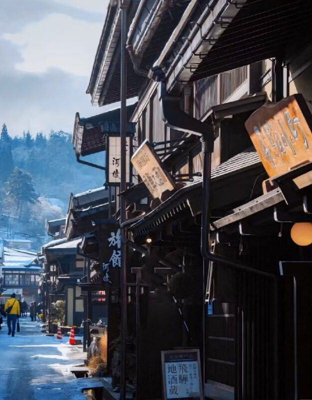 Shirakawa-go Gassho Village & Hida Takayama Old Town Walking Day Tour in Central Japan (Departing from Nagoya) - Price, comfort, and the real value