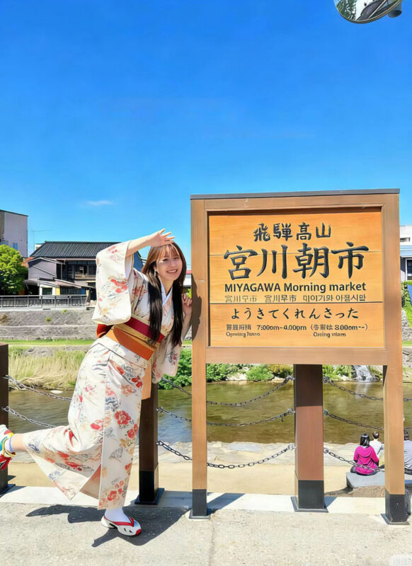 Shirakawa-go Gassho Village & Hida Takayama Old Town Walking Day Tour in Central Japan (Departing from Nagoya) - Who should book this day trip?