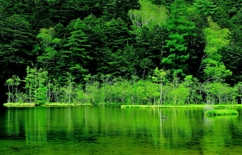 Shirakawa-go Gassho-zukuri Village & Kamikochi & Hida-Takayama 2-Day Tour - Includes Stay at Hotel Associa Takayama Resort (Departing from Nagoya) - What the schedule means in practice