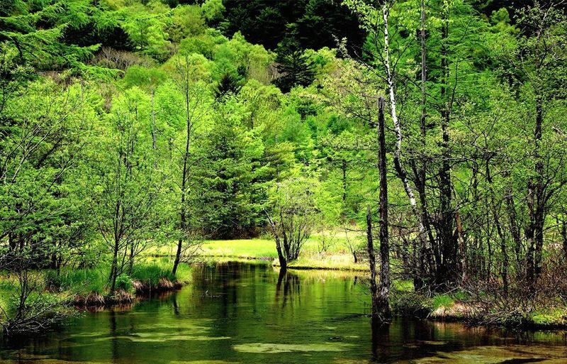 Shirakawa-go Gassho-zukuri Village & Kamikochi & Hida-Takayama 2-Day Tour - Includes Stay at Hotel Associa Takayama Resort (Departing from Nagoya) - Who should book this tour?