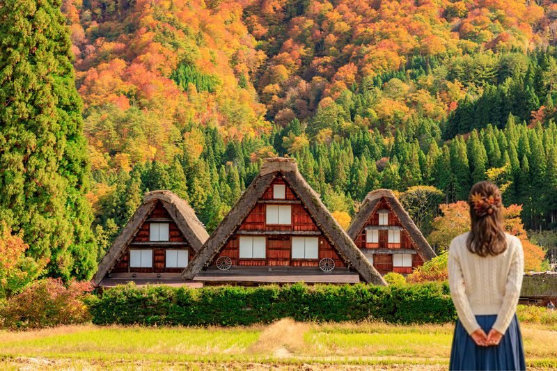 Shirakawa-go, Gujo Hachiman, and Hida Takayama Day Trip - One day from Nagoya, three sides of Gifu