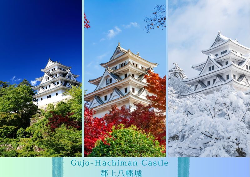 Shirakawa-go, Gujo Hachiman, and Hida Takayama Day Trip - The pace, the price, and the trade-offs