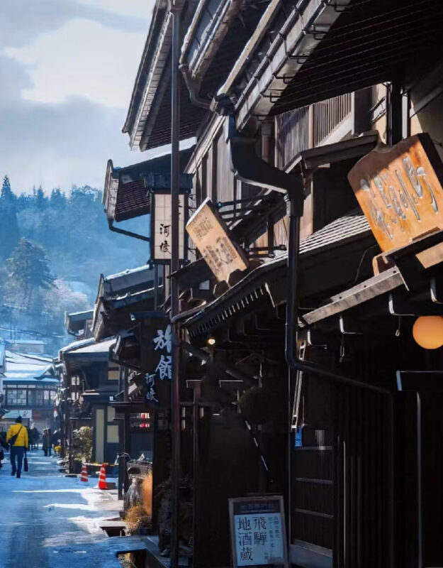 Shirakawa-go Light-Up 2026: Takayama Old Town & Shirakawa-go Light-Up Day Trip (4-9 person small group tour) - A small group, with a driver first