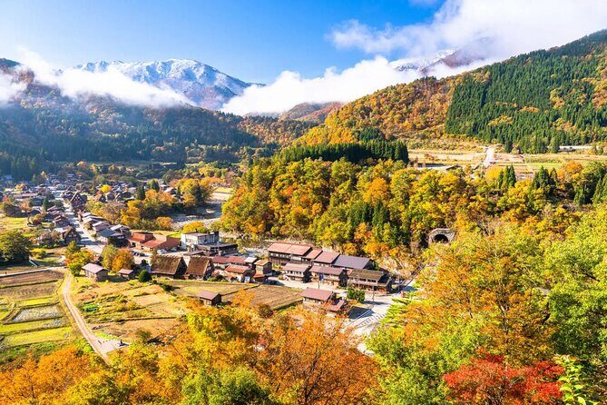 Shirakawa-go Private Car City Tour - Who Will Love This Tour?