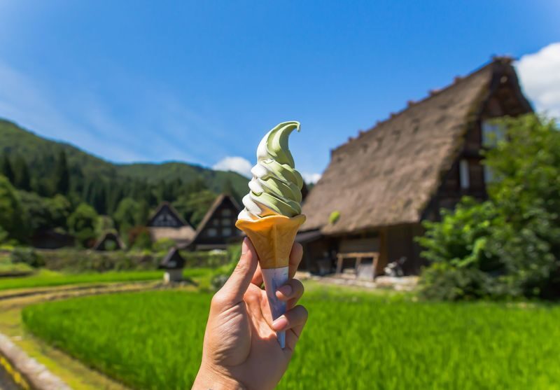 Shirakawa-go, Takayama and Gujo Hachiman Day Tour from Nagoya - Takayama: old streets and a quick food stop