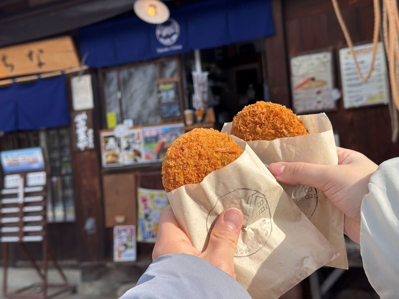 Shirakawa-go, Takayama and Gujo Hachiman Day Tour from Nagoya - Is the price worth it?