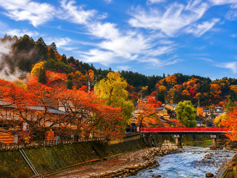 Shirakawa-go & Takayama Old Town Day Tour (Optional Hida Beef Lunch) - A tight schedule means choosing what matters most