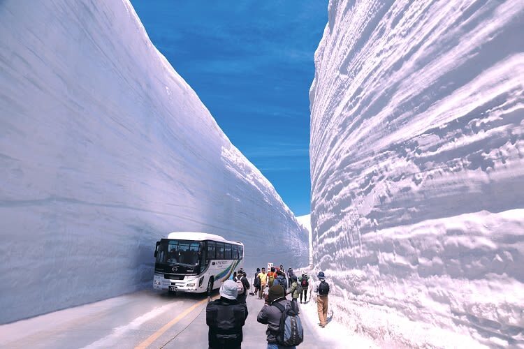 Shirakawa-go & Tateyama Alpine Route 3-Day Bus Tour - The guide may be a key part of the value